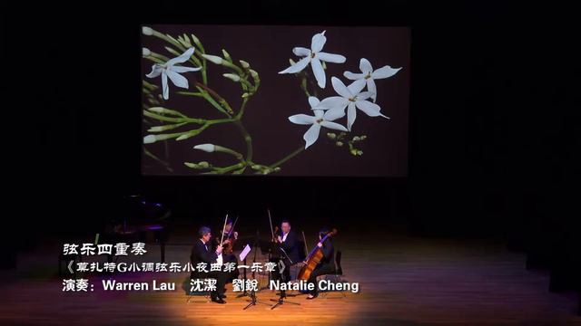 弦乐四重奏《茉莉花》 смотреть онлайн