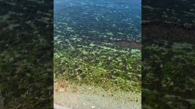 Геленджик здравствуй смотреть онлайн