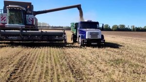 Зил 4331 на уборке ячменя,,  не большие планы на будущие в слух.