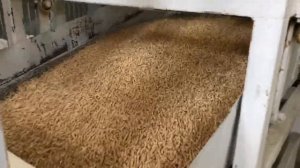 Производство топливных пеллет. Деревообрабатывающий завод Белка