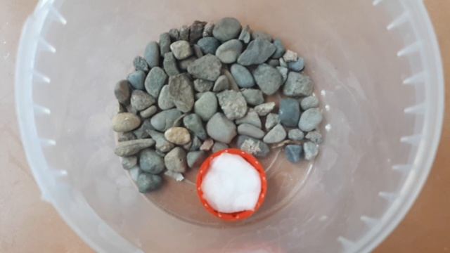 ТЕРРАРИУМ ДЛЯ КЛОПОВ-СОЛДАТИКОВ. смотреть онлайн