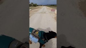 Там где пехота не пройдёт...турист проползет.