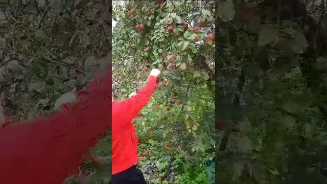 Приехал в диревню смотреть онлайн