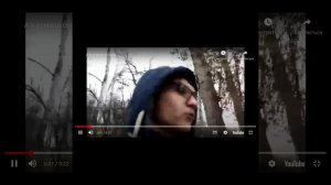 Совы не то чем они кажутся(а я думала сова)