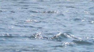 река Тасеева Рыжковская шивера