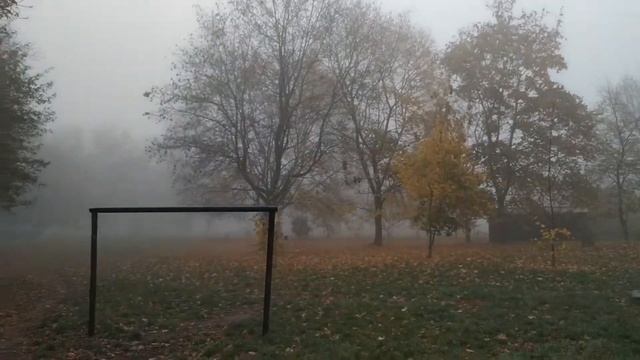 УКРАЛИ дом/ делаю #ЦУКАТЫ/ котейкино_брюшко смотреть онлайн