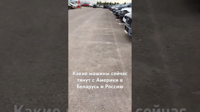 Съездили на таможню в Беларуси забрать машину, вот какие машины сейчас заказывают и Америки