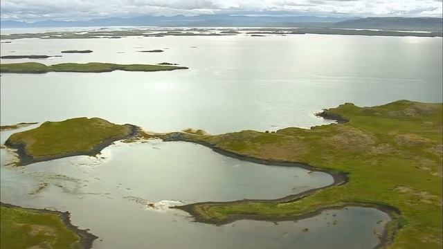 Очаровательный мир природы -супер!!!!! смотреть онлайн