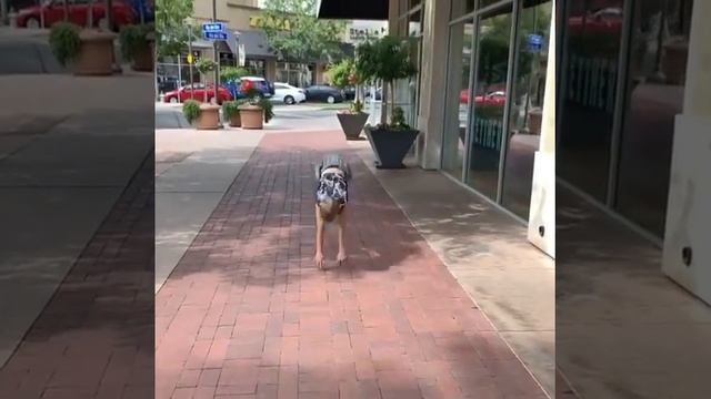 Юный акробат смотреть онлайн