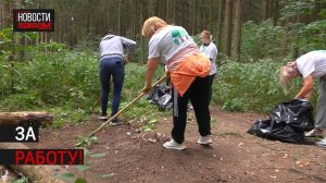 Акция «День в лесу. Сохраним лес вместе» стартовала в Истре