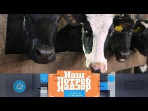 Вредные мифы о молоке и легкие способы испечь блины ("НашПотребНадзор" 23.02.2020)