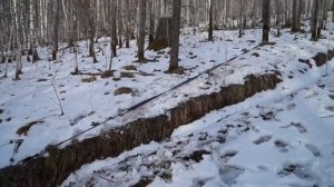 НИВА 4х4/ Жёсткая дорога/ Нива на 29 колёсах Cordiant Off-road+ Квадро-лебёдка/ На Рыбалку!