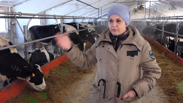 СПК им. Куйбышева - достижения 2020-го года смотреть онлайн