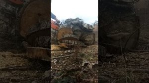 Калибр бензопила пилит в полную шину. 2600у. Китайская бензопила.