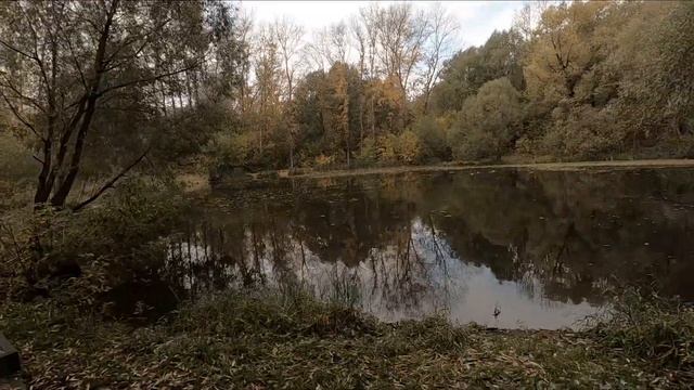 Экотропа в ООПТ "Долина реки Сетунь"