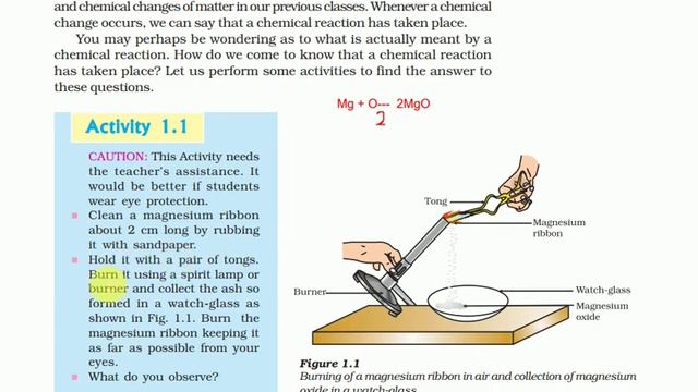 Chemical Reactions and Equations | Class 10 Science CBSE NCERT | Chemistry -Part-1 смотреть онлайн