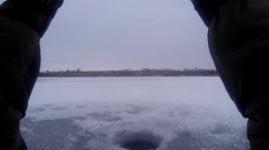 Безмотылка на Ахтубе рыбалка и погода удивляют все больше.