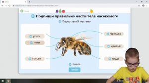 Узнаем кто такие насекомые на Учи ру. Окружающий мир 1 класс