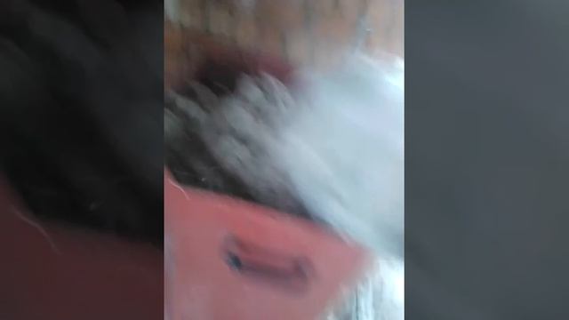 утепление чердака эковатой смотреть онлайн