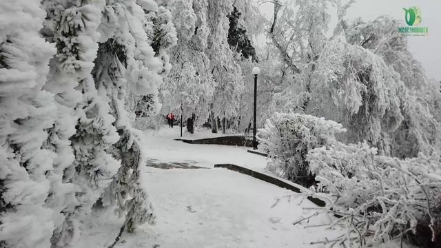 Опасное обледенение в курортном парке