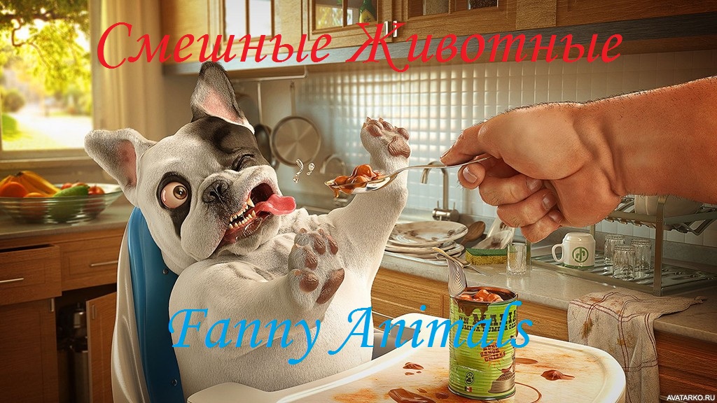 ?КОТЫ 2021? СМЕШНЫЕ КОШКИ 2021? ПРИКОЛЫ С КОТАМИ И КОШКАМИ? Funny Cats 2021?