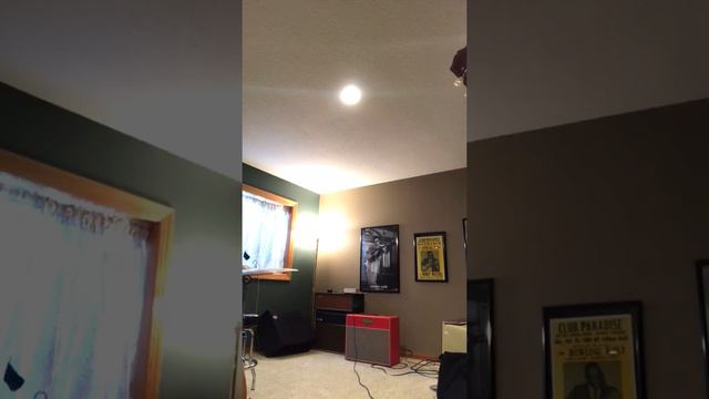 Louis Electric Baby Bluesbreaker and R7 смотреть онлайн