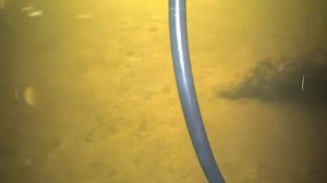 Тестирование 3D видеокамеры