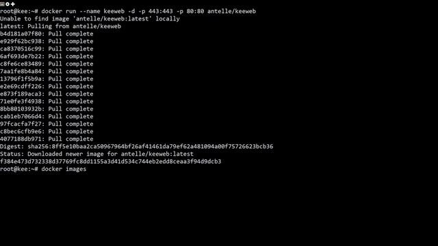 How to Install KeeWeb Password Manager on Ubuntu 22.04 смотреть онлайн
