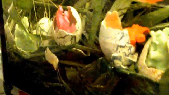 ★ Яйца Сюрприз Выращиваем Игрушки в Воде DINOSAURS Surprise Eggs Making toy animals grow смотреть онлайн