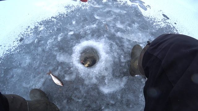 ЛЕЩ ПОПЁР. БЕШЕНЫЙ КЛЁВ ЛЕЩА на мормышку. Пакет леща за утро.