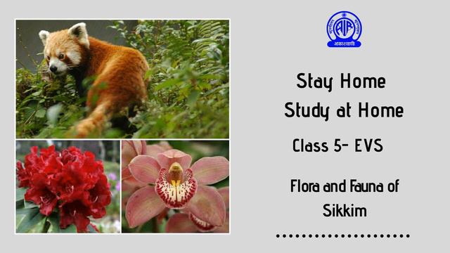 Class 5- EVS Floara and Fauna of Sikkim смотреть онлайн