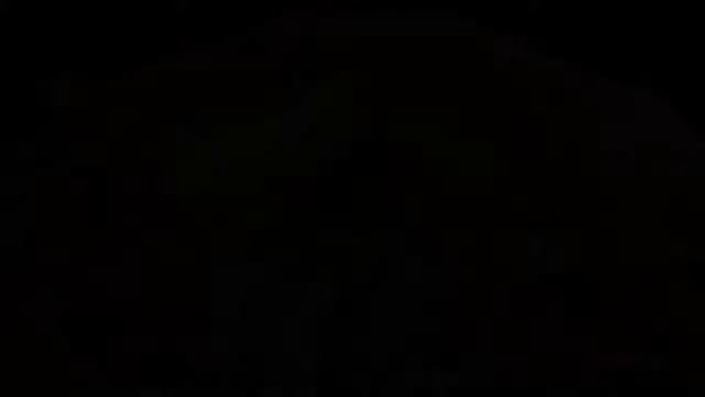 Лучшие кактусы. Цветущие кактусы