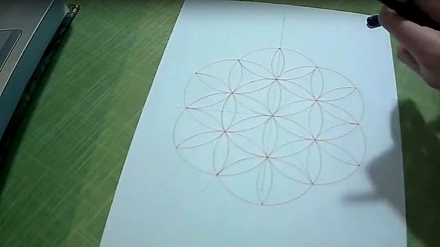 Семь Дней с Семенем Жизни день 7