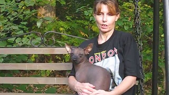 О ксолоитцкуинтли