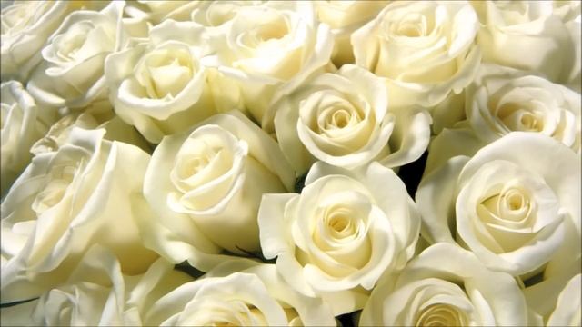 Ирина Аллегрова -  с Днём Рождения!