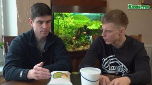 Карбамид или селитра – что использовать для рассады?