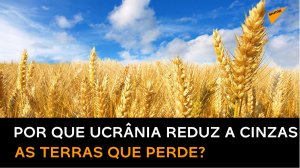 Forças da Ucrânia destroem campos de trigo ao recuar em meio ao risco de crise alimentar