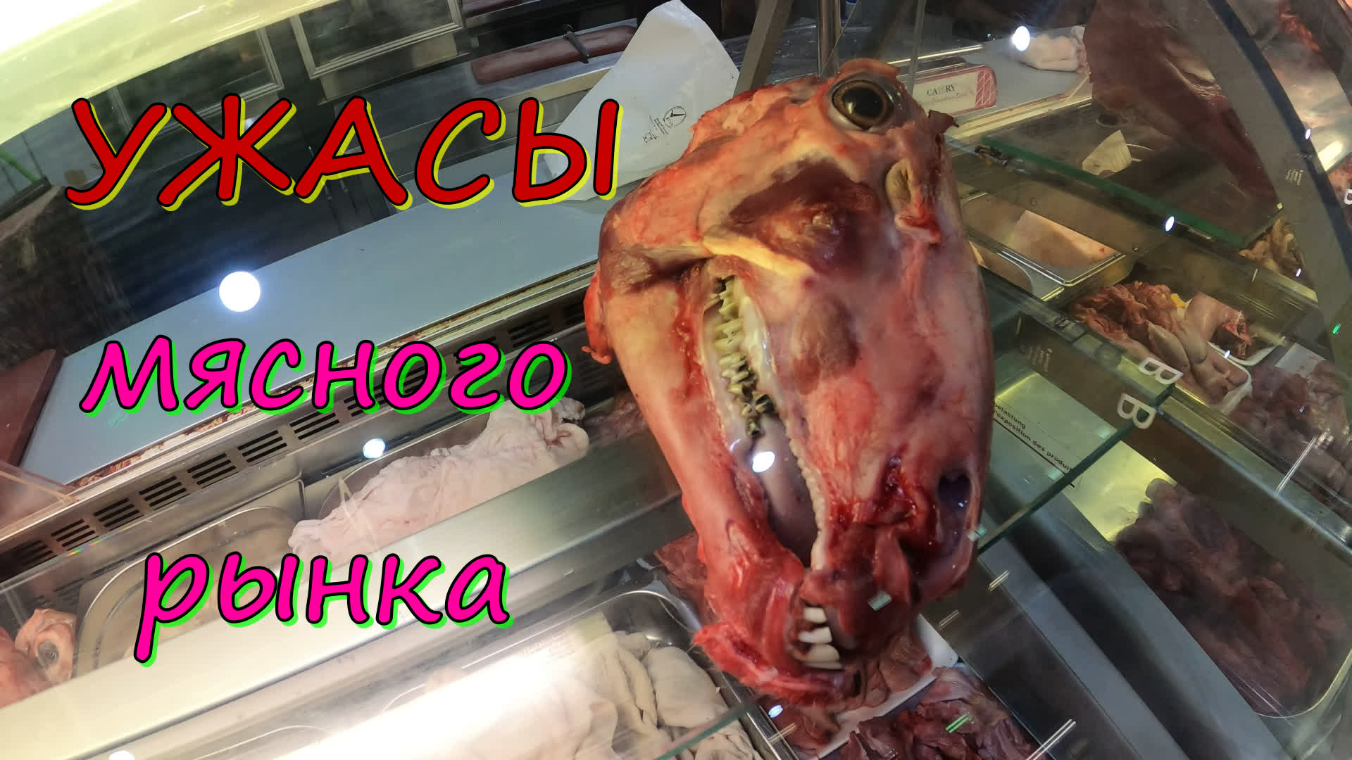 Ужасы мясного рынка Дубая!!!The horrors of the Dubai meat market !!!