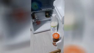 Отзыв на мини холодильник Бирюса 70 спустя 3 года использования. Плюсы и минусы