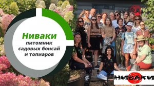 Ниваки - питомник садовых бонсай и топиаров