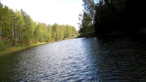 По реке Сутка от д.Горки до р.Волга (Рыбинское водохранилище) на лодке МКМ Ярославка Sea Pro 9.9