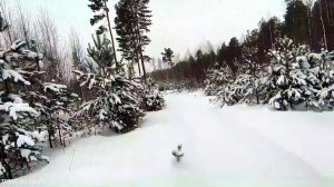 Охота на лунках в канун Нового 2022 года