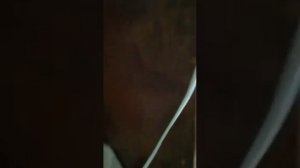 как провести 9v электричество на дачу??