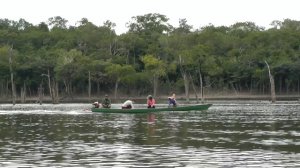 Путешествие в Южную Америку. Ч. 7 Амазонка