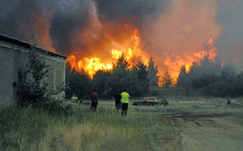 "Все заволокло дымом, мы боимся": очевидцы о лесном пожаре в Ростовской области / События на ТВЦ
