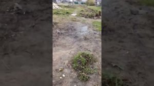 село боголюбова  холм-жирковского  смоленского  р-он