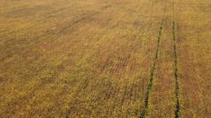 240907_П044_ОАК Мэдок