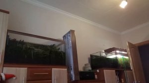 Будни Аквариумиста. Как чистить аквариум. Сифоним грунт. Подмена воды в аквариуме