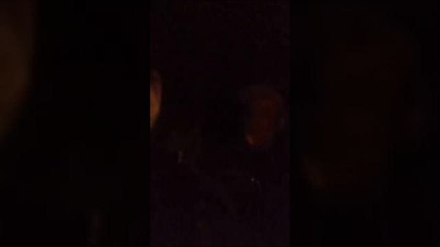 Честный-Всем своим