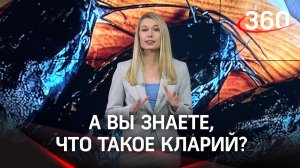 Знакомьтесь, кларий! Что это, и почему ради него стоит ехать в Луховицы?